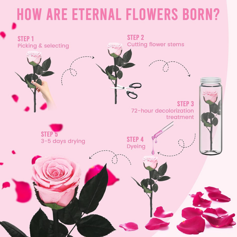 Eternal Real Rose & "I Love You" Necklace – A Timeless Gift for Her